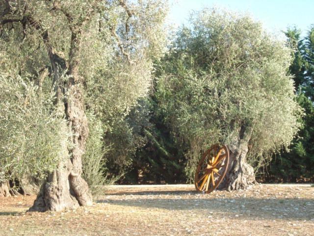 La Piana Di Calena Villa เปสคีชี ห้อง รูปภาพ
